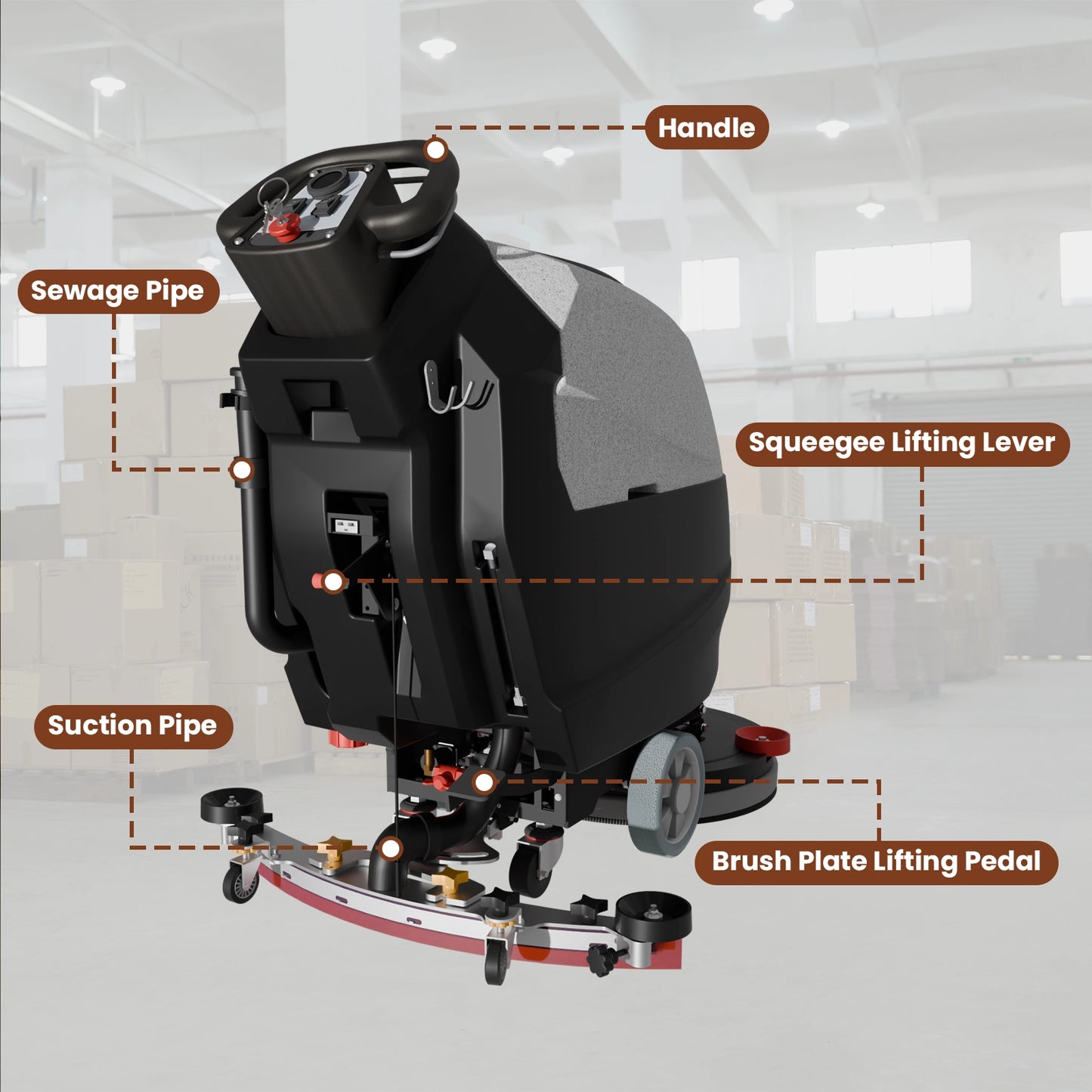 Walk Behind Floor Scrubber AF2013